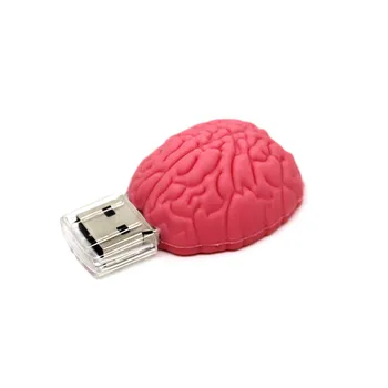 Risanka Možganov, USB Flash Drive Človeških organov model 128MB Pen Drive 64GB Pomnilnika memory Stick 4GB 8GB 16GB 32GB srce/zob/ledvic Pendrive