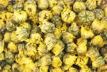 500g Novo Suho, Sveže majhne chrysanthemum flower Z visoko kakovostjo