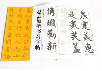 Kitajska Kaligrafija pisanje Tutorial knjiga za začetnike: Yan Chen Liu gongquan hanzi krtačo pisanje magistrskega copybooks,sklop 5