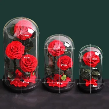Padec Konzervirane Rose Lepota in Zver pravi Cvetja V Stekleno Kupolo, Poroko, materinski Dan, darilo za Rojstni dan Doma Dekoracijo