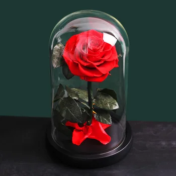 Padec Konzervirane Rose Lepota in Zver pravi Cvetja V Stekleno Kupolo, Poroko, materinski Dan, darilo za Rojstni dan Doma Dekoracijo