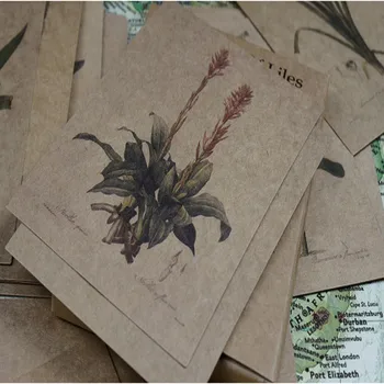 30pcs na škatlah razglednice ročno poslikane vrtna rastlina lily rose Retro lepe Razglednice DIY 14.5*10.5 CM