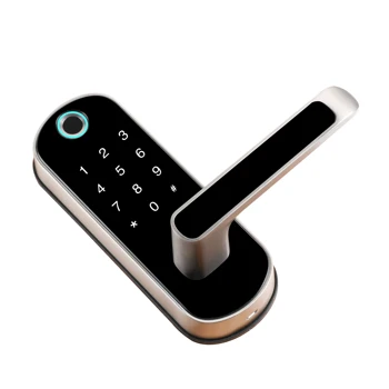 Biometrični čitalnik Prstnih Zaklepanje Vrat Tuya APLIKACIJO Smart Elektronsko Zaklepanje Varnega Doma Zaklepanje RFID Keykess Zvonec Digitalni Wifi Zaklepanje Vrat