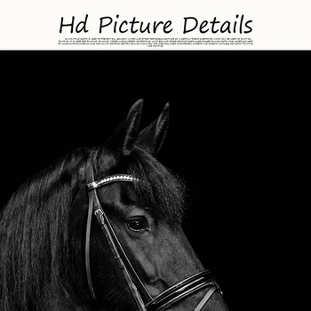 Črni Konj Glavo Živali Platno Slikarstvo Plakatov in Fotografij Skandinavskih Stenskih slikah, za dnevno Sobo Cuadros Doma Dekor