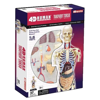 4d master Sestavljanje puzzle igrača človeško telo organa anatomski model medicinski model poučevanja 8 Vrst izbor