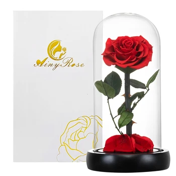 Večno Rose Valentinovo Darilo, s Stekleno Kupolo, Umetno Cvetje, Poročni Dekor Božič, Rojstni dan, Novo Leto Darilo za Ženske