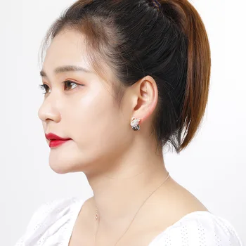 2020 Novi korejski Srčkan Swan Uhani Sijoče Vijolična Črna Cirkon Kamen Earings za Ženske Stud Uhan Modni Nakit Stranka Darilo