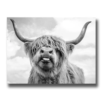 Divje Živali Jaka Highland Krava Cuadros Platno Slikarstvo Plakatov in Fotografij Stenskih slikah, za Dnevni Sobi Doma Dekor (Brez Okvirja)