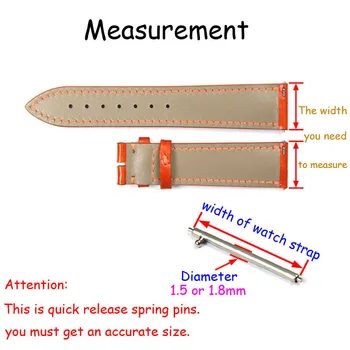 Iz nerjavečega Jekla Watch Trak za Hitro Sprostitev, Pomlad Bar Zatiči Watch Orodje za Popravilo Band Povežite Pin 14 mm 15 16 17 18 19 20 21 22 24 mm