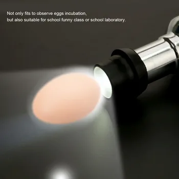 Svetla LED Luč Inkubator Jajce Candler Tester Za Piščanca Prepelice Perutnine Inkubator Brooder Valilna Jajca s Power Adapter Orodje