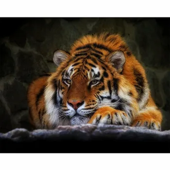 Uokvirjena DIY Barvanje Z Številkami Tiger Akrilnega Slikarstva Sodobno Sliko Doma Dekor Za dnevno Sobo 40x50cm