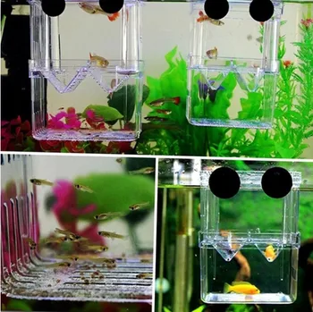 Baby fish tank Izolacije Betta prepražimo ovipositor Tropske ribe, akril inkubator polje