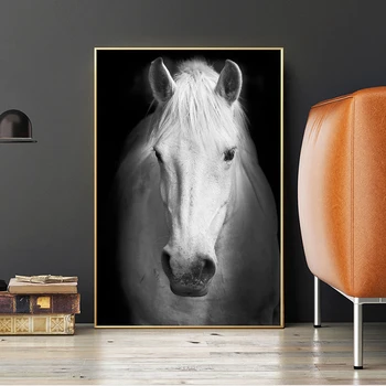 Črno Ozadje Belem Konju, Platno, Plakatov in Fotografij Dekorativne Umetnosti Divje Živali, Platno, Slike Wall Art Slike za Dom