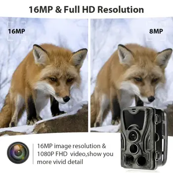 HC801A Lovske Kamere 16MP 1080P IP65 Pot Fotoaparat Night Vision Gozd Nepremočljiva Wildlife Kamere Foto Pasti Fotoaparat Chasse #SD