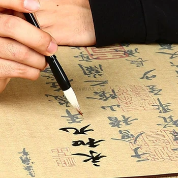 Ne Črnilo Vode Pisanje Slikarstvo Kitajska Kaligrafija Praksi Se Pomaknite Krpo Papir Orhideja Paviljon Slikarstvo