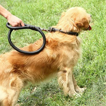 Miflame Moda Velik Pes Pas Usnje Pes Povodec Za Hišne Pas Labrador Satsuma Ovratnik Psa Dodatki Trajne Hišne Potrebščine